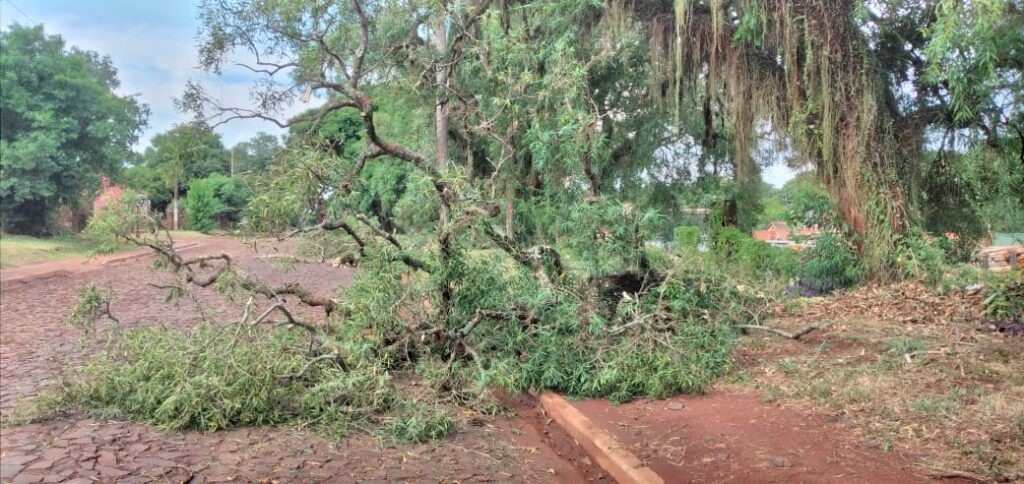 Temporal de viento y lluvia causó daños en Virasoro