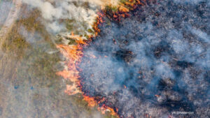 Corrientes tuvo cerca de 1.000 focos de incendio en enero y lo que va de febrero