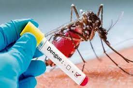 Tercera muerte por dengue en Corrientes y más de 150 casos activos