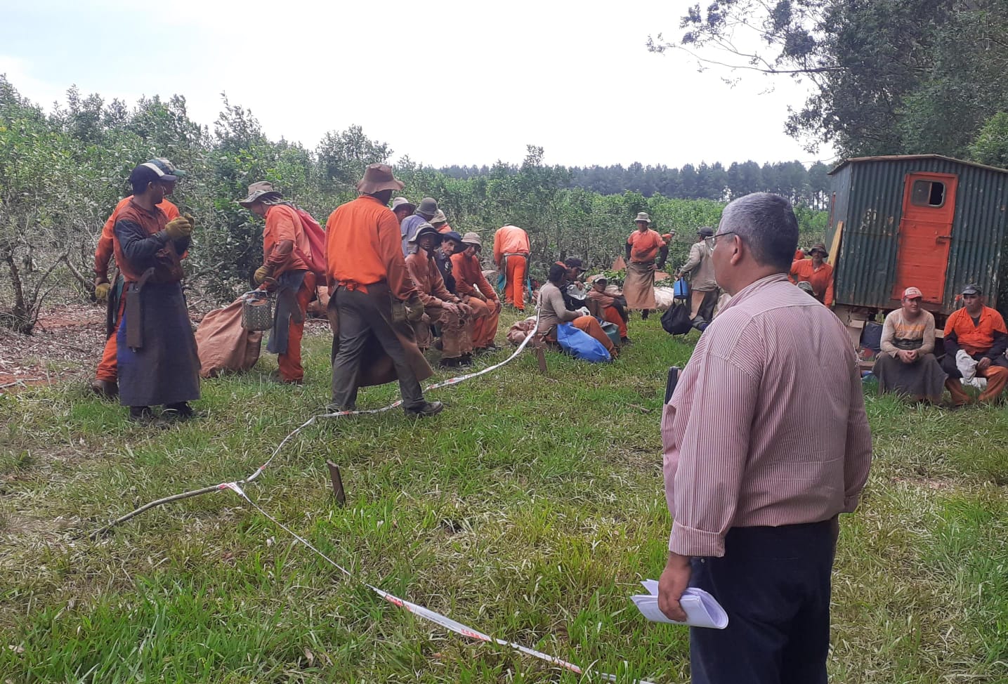 Colonia Liebig: inspeccionaron plantaciones de yerba en por graves denuncias de irregularidades laborales