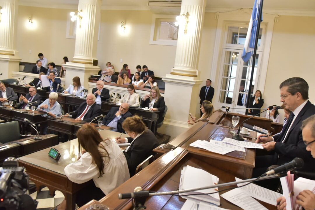 El Senado sanciona leyes clave en salud, derechos laborales y cultura