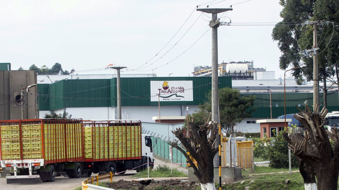 Crisis en Granja Tres Arroyos: caída productiva y cheques rechazados en 2025