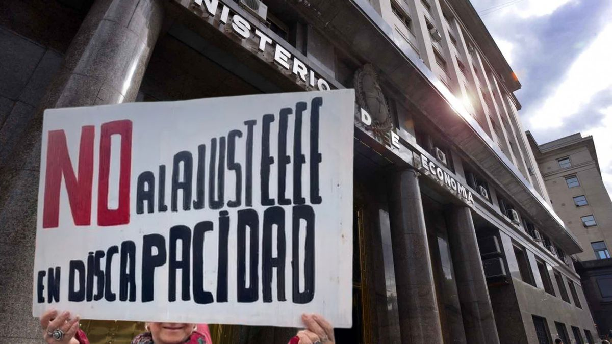 Organizaciones exigen gobierno 2025 cumplimiento Ley de Emergencia en Discapacidad y fondos Incluir Salud