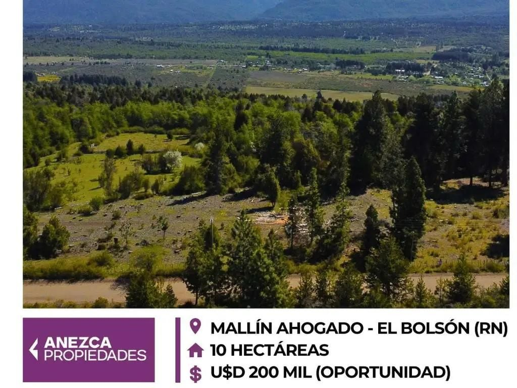 Patagonia 2026: incendio reabre debate sobre concesiones y protección ambiental