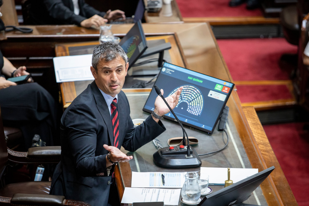 Oficialismo en Diputados ignora Adornigate y busca aprobar el Súper Rigi hoy 25 de junio